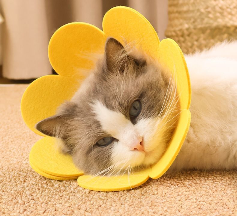 Bloomies Flower-Shaped Recovery Collar