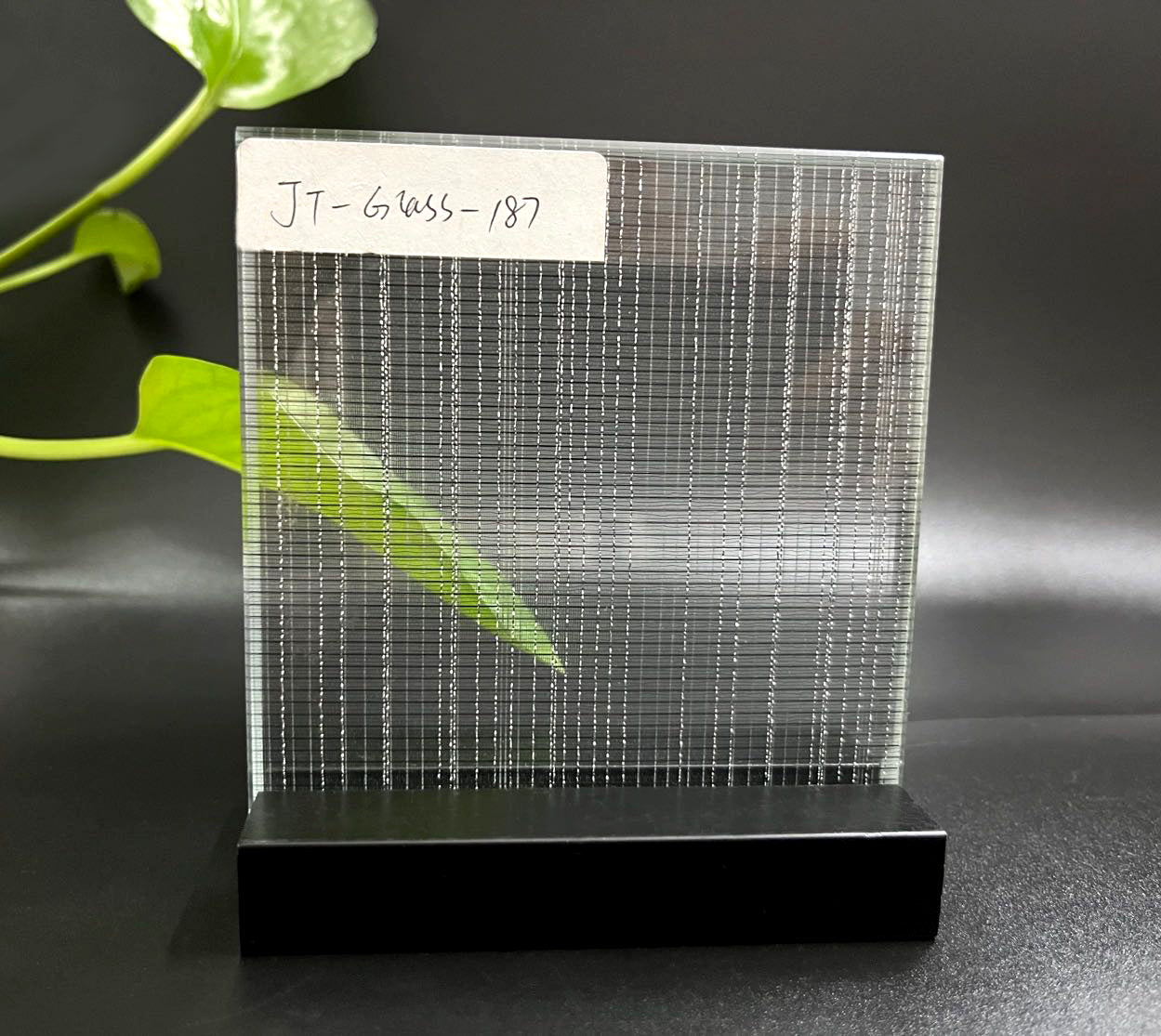JT-187 Wire Glass Panel