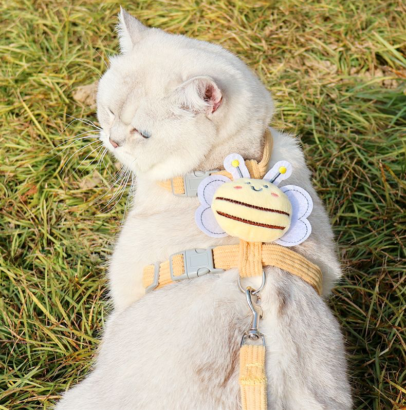 Bee Buddy Pet Harness & Leash Set