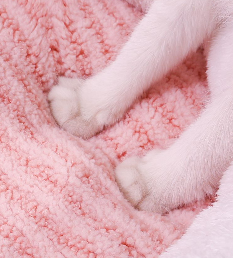 Round Plush Donut Pet Bed