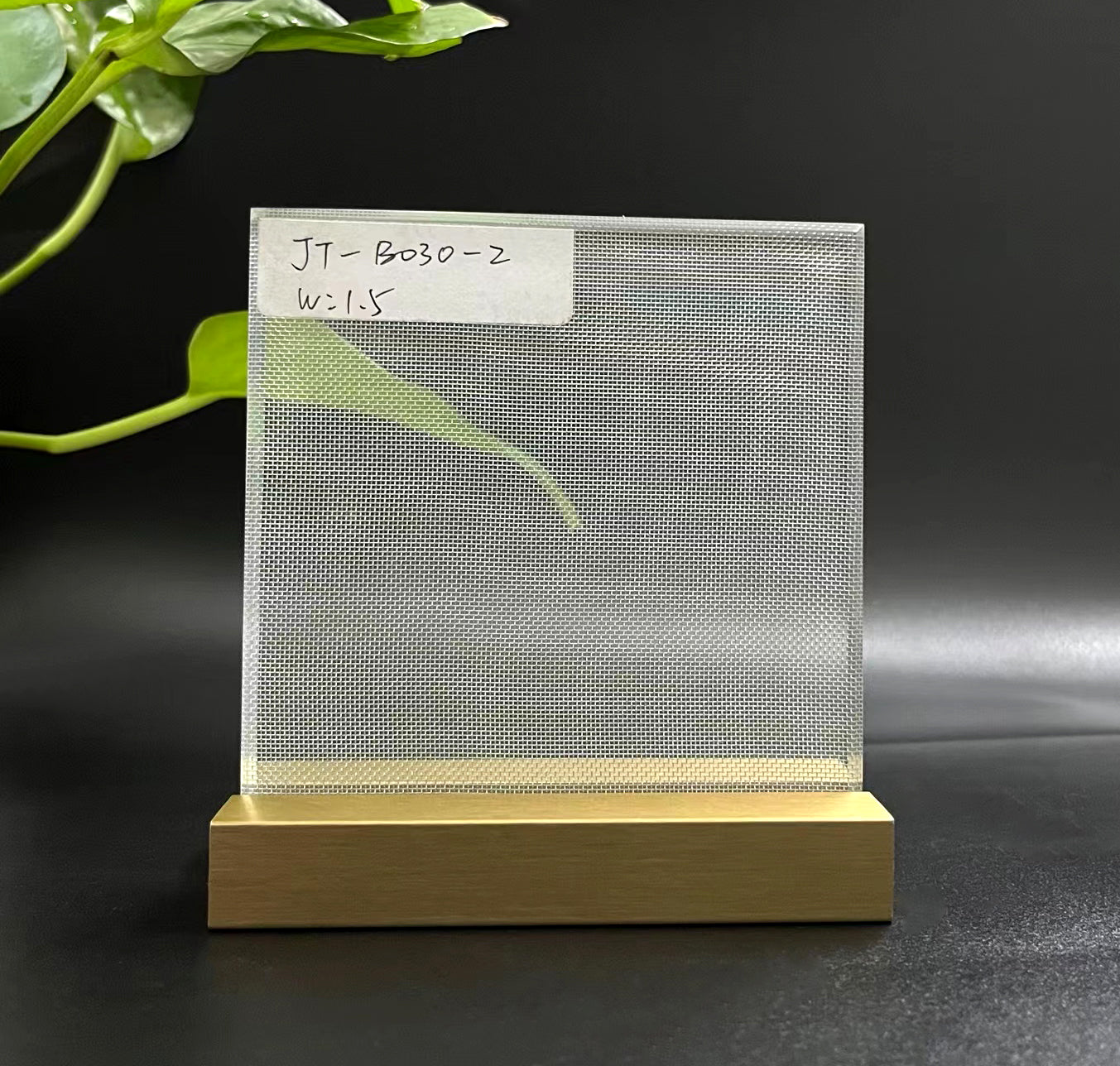 JT-B030-2 Wire Glass Panel