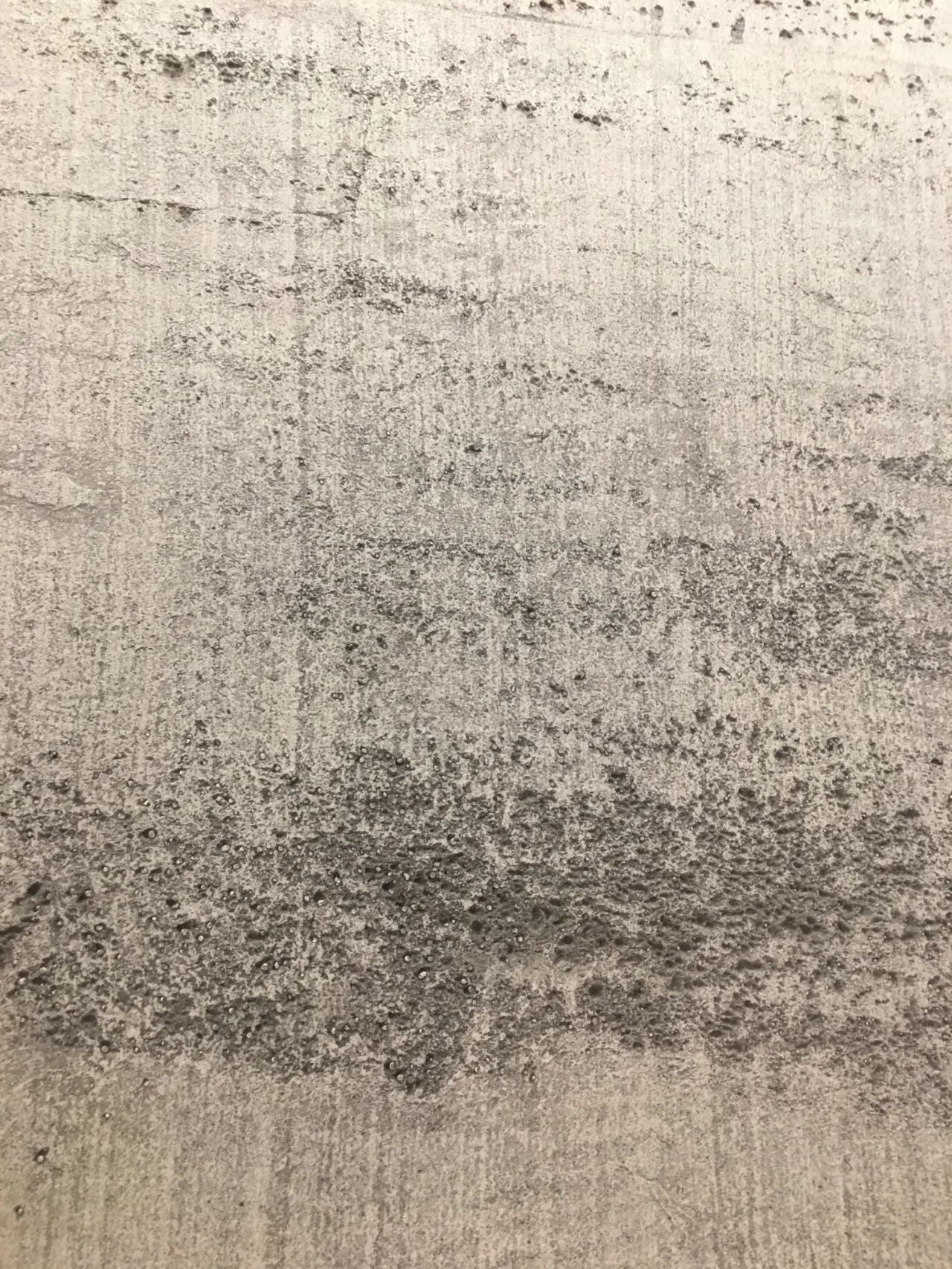Fossil Ash Soft Stone Panel