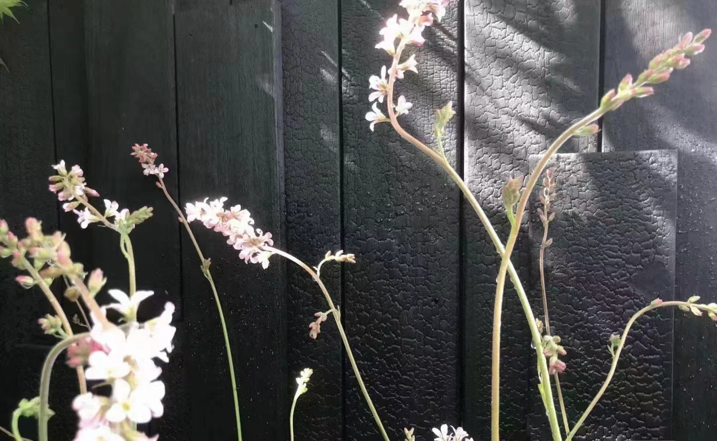 Charred Woodgrain Soft Stone Panel