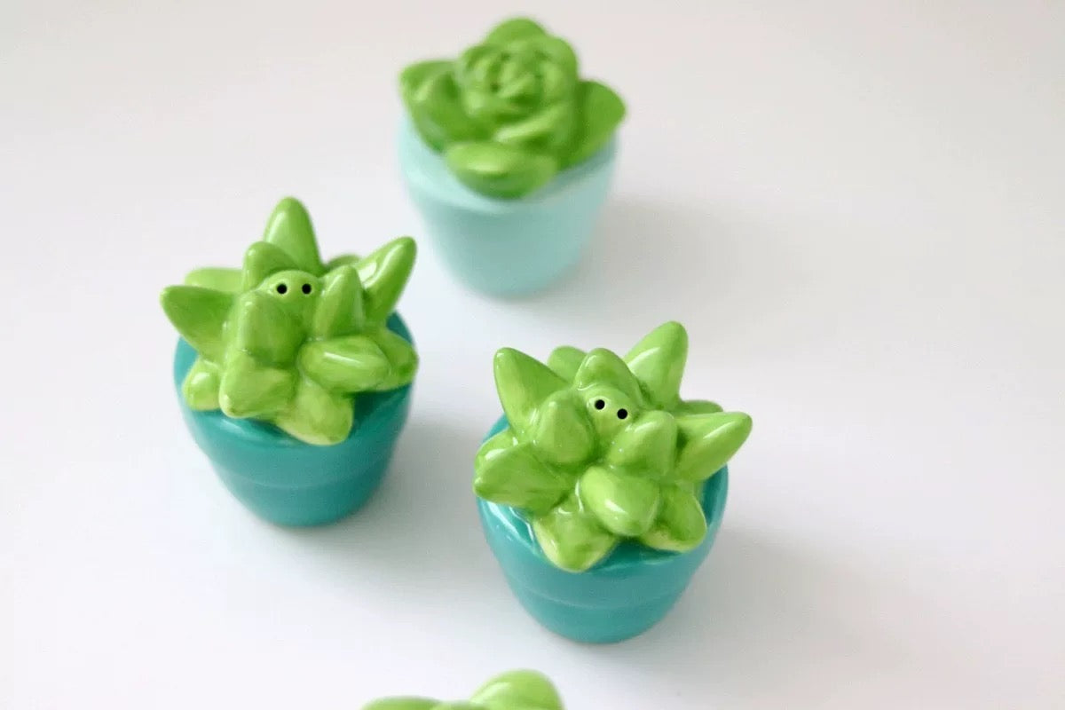 Succulent Garden Ceramic Salt and Pepper Shaker (Set of 4)