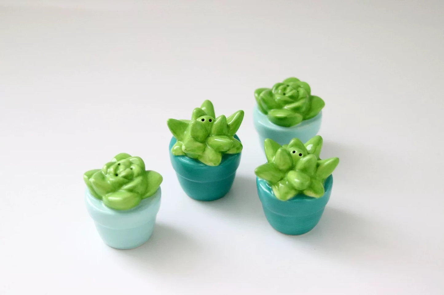 Succulent Garden Ceramic Salt and Pepper Shaker (Set of 4)