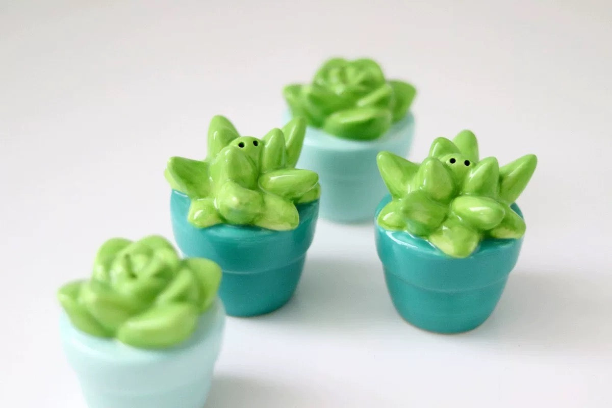 Succulent Garden Ceramic Salt and Pepper Shaker (Set of 4)