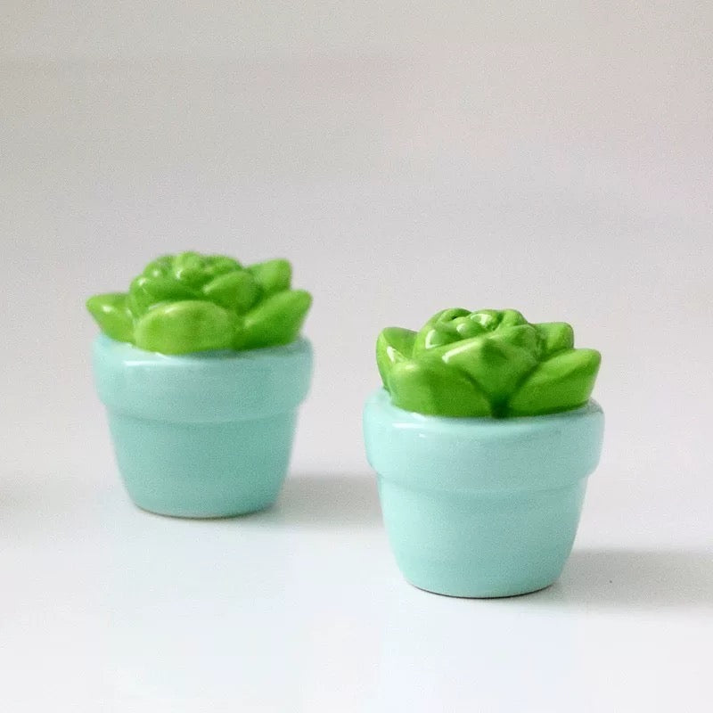Succulent Garden Ceramic Salt and Pepper Shaker (Set of 4)