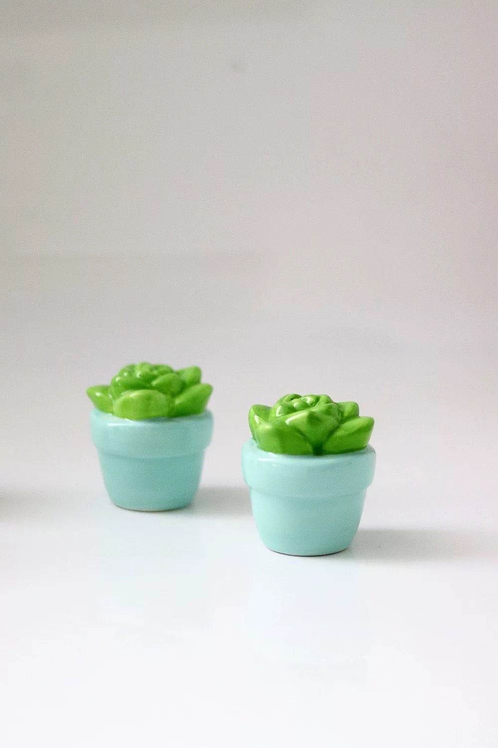 Succulent Garden Ceramic Salt and Pepper Shaker (Set of 4)
