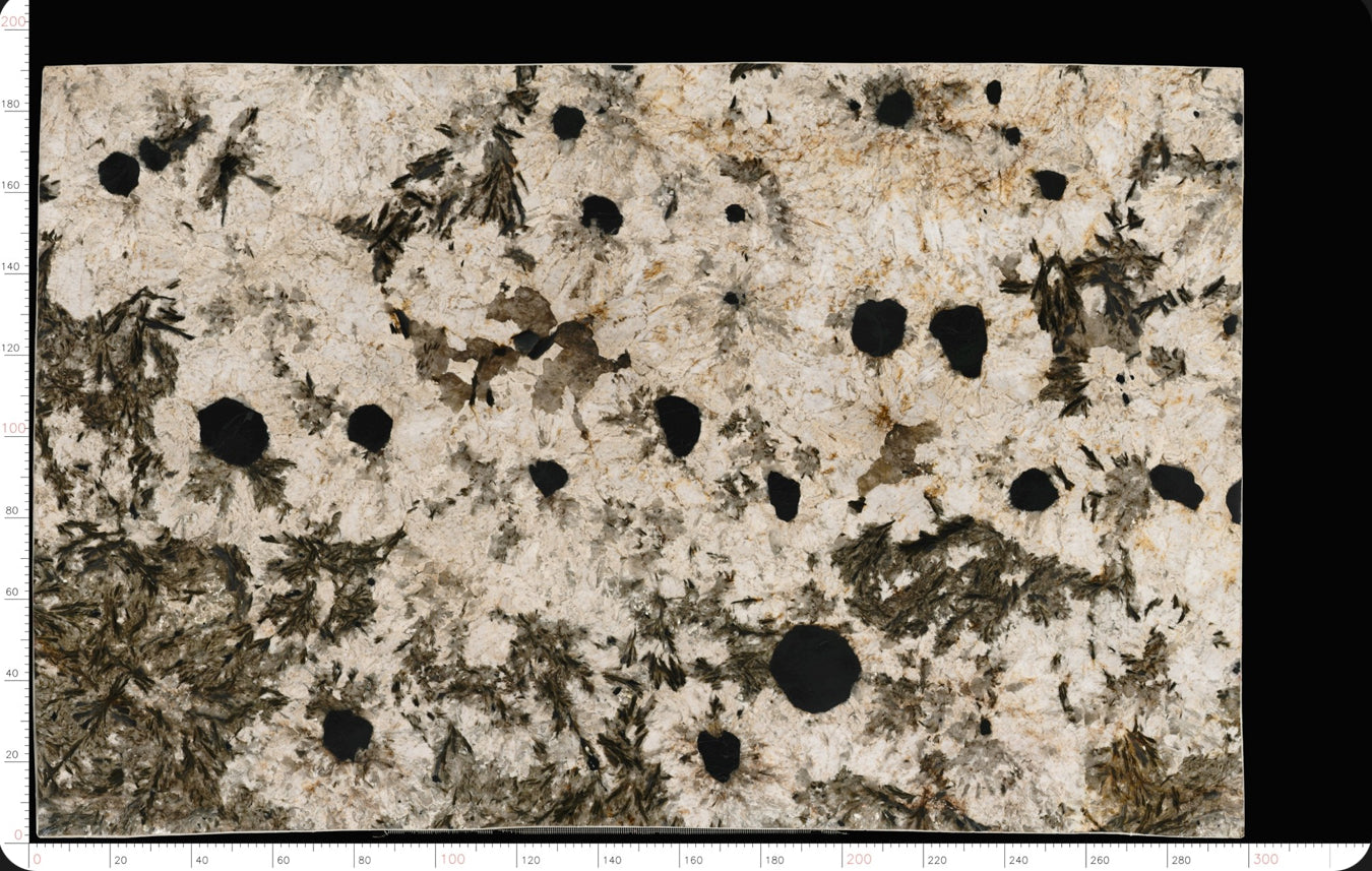 Snowflake Night Granite