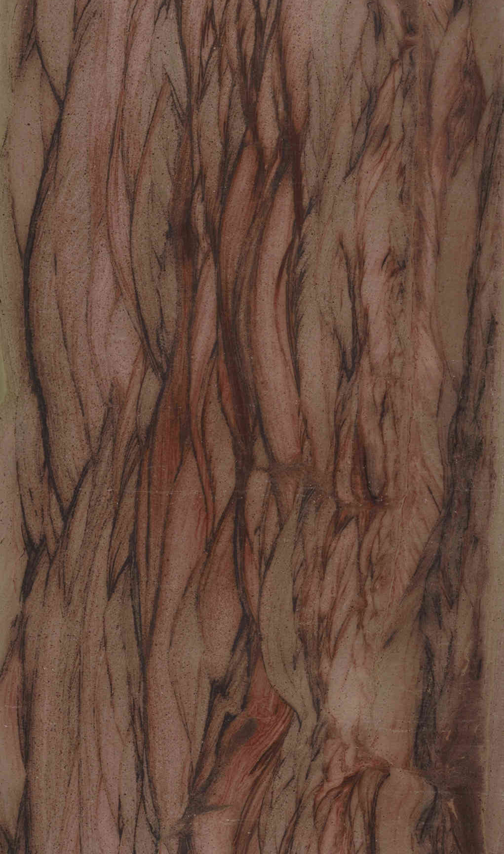 Blush Feather Marble