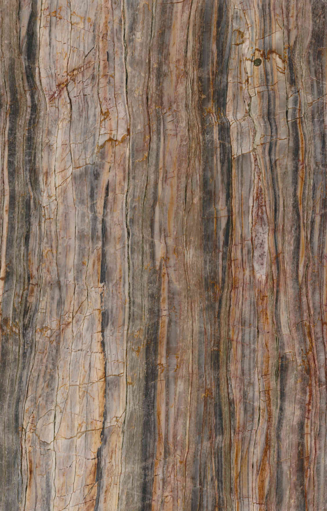 Ancient Cedar Marble