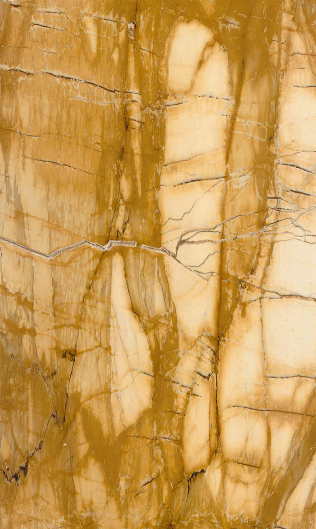 Golden Veil Marble