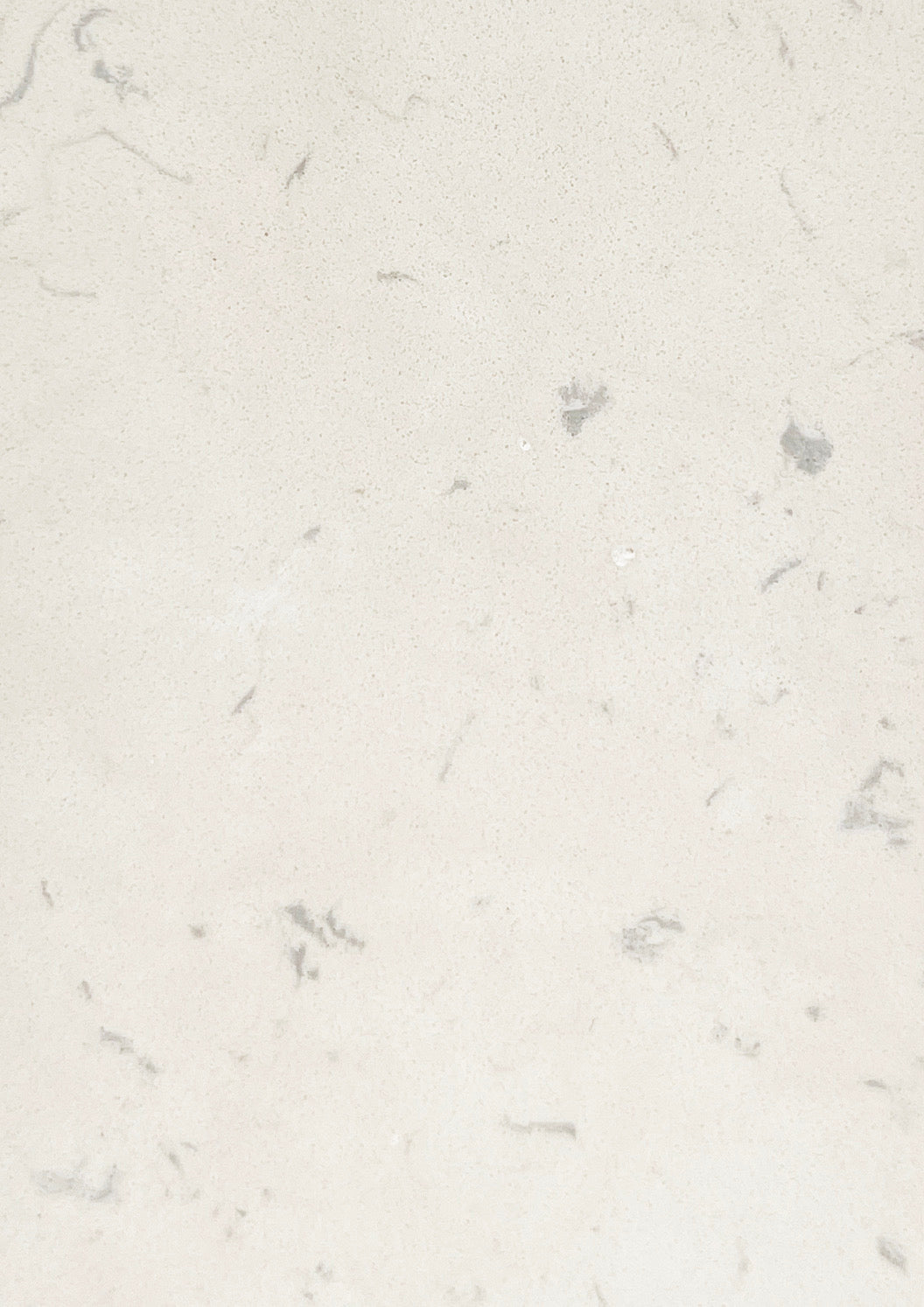 Fossil Cloud Limestone