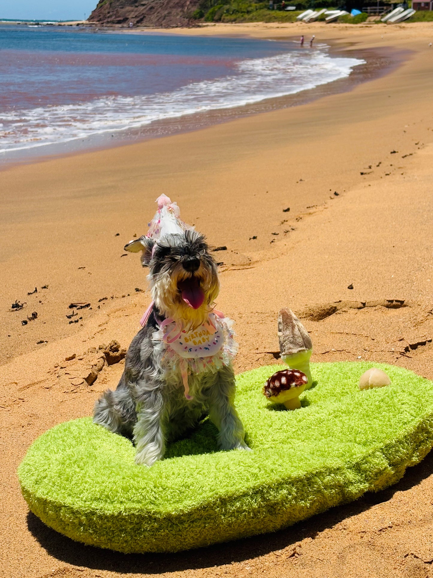 Snuggle Pals Pet Bed