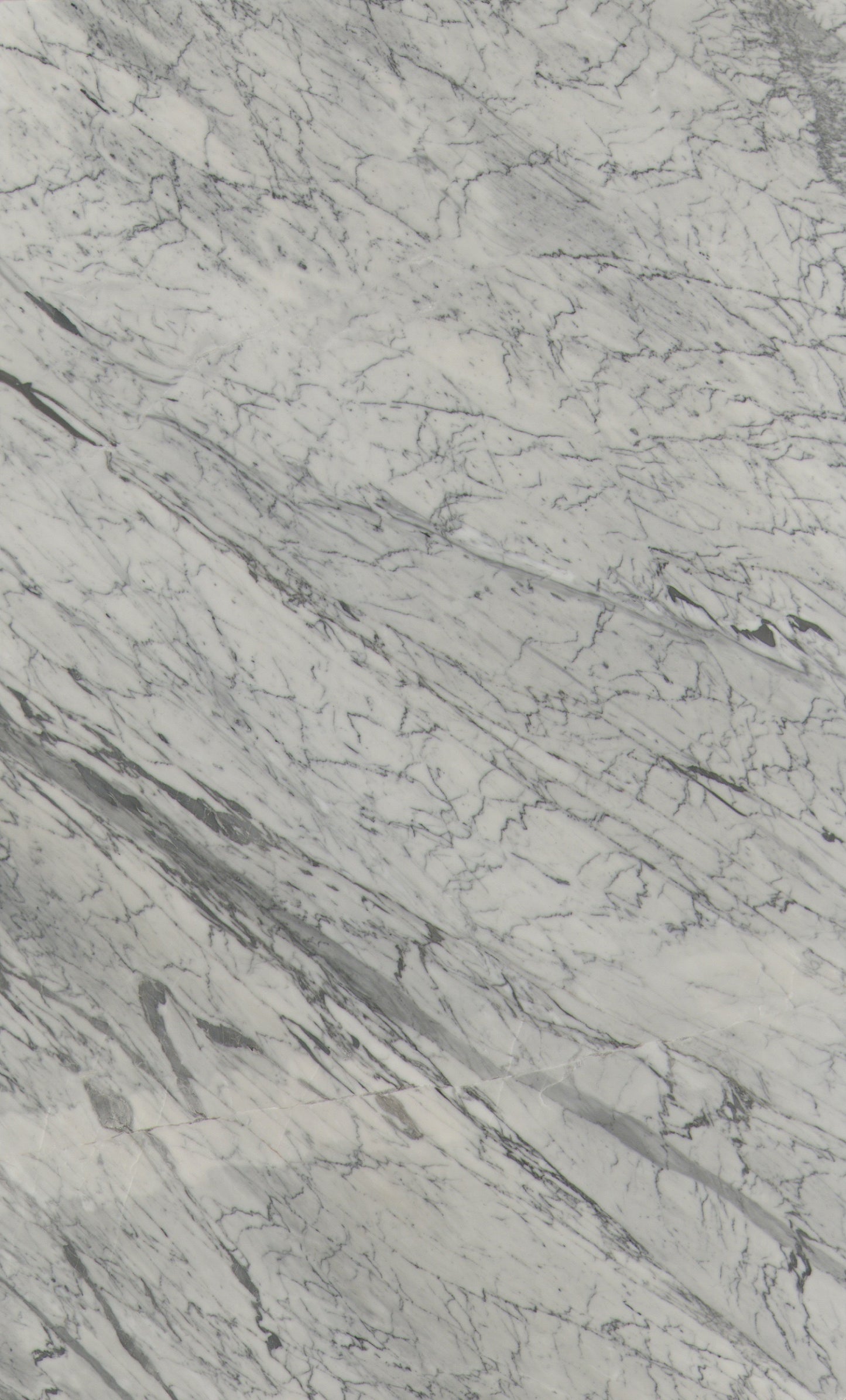 Carrara Vein Marble