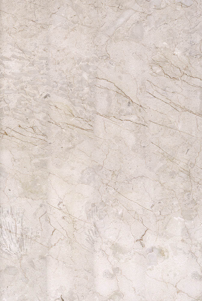 Fossil Vein Marble
