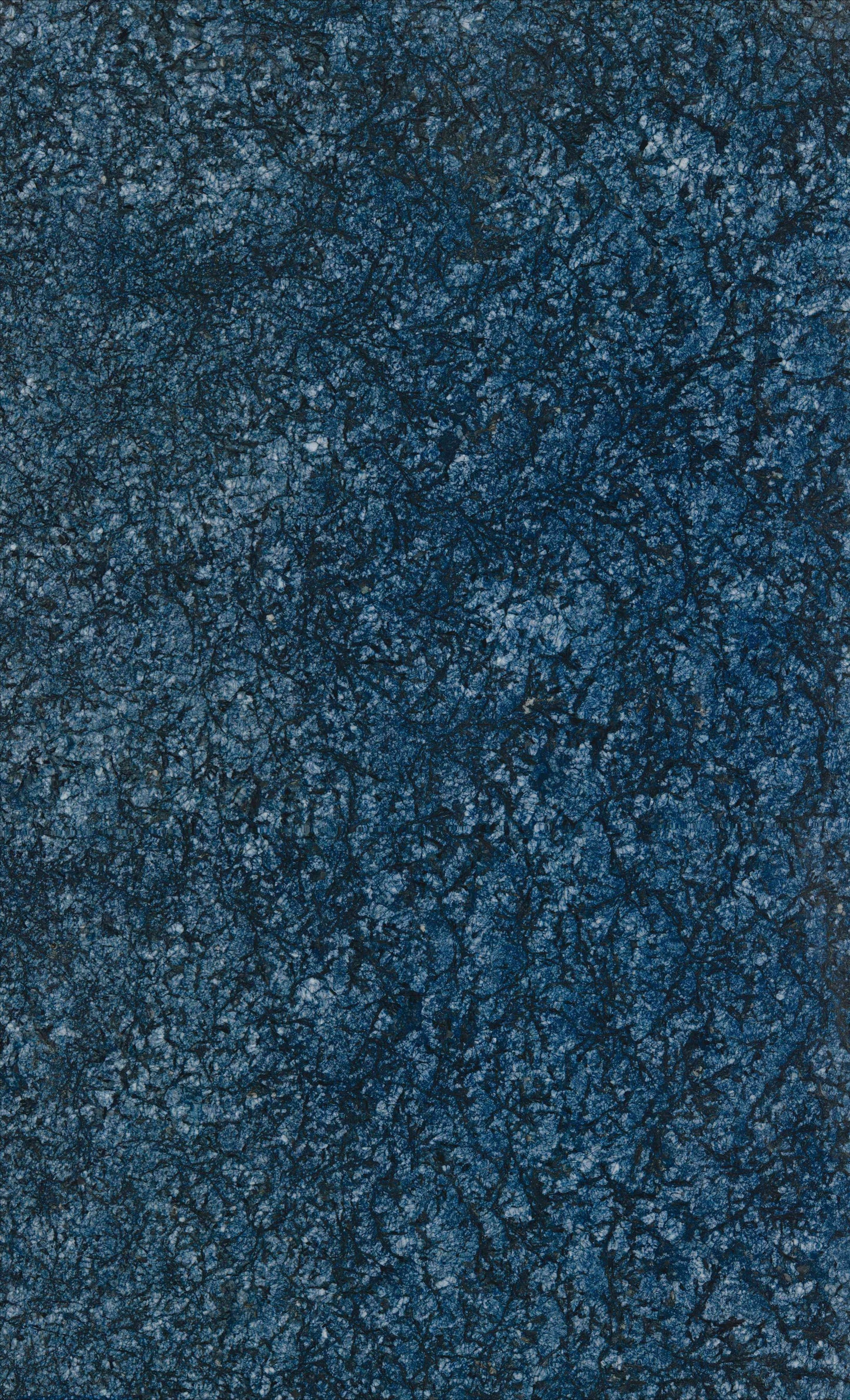 Midnight Bloom Granite