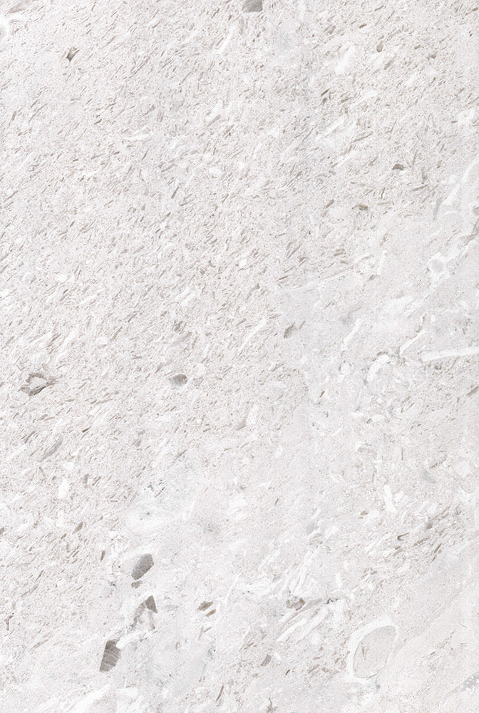Ivory Fossil Marble