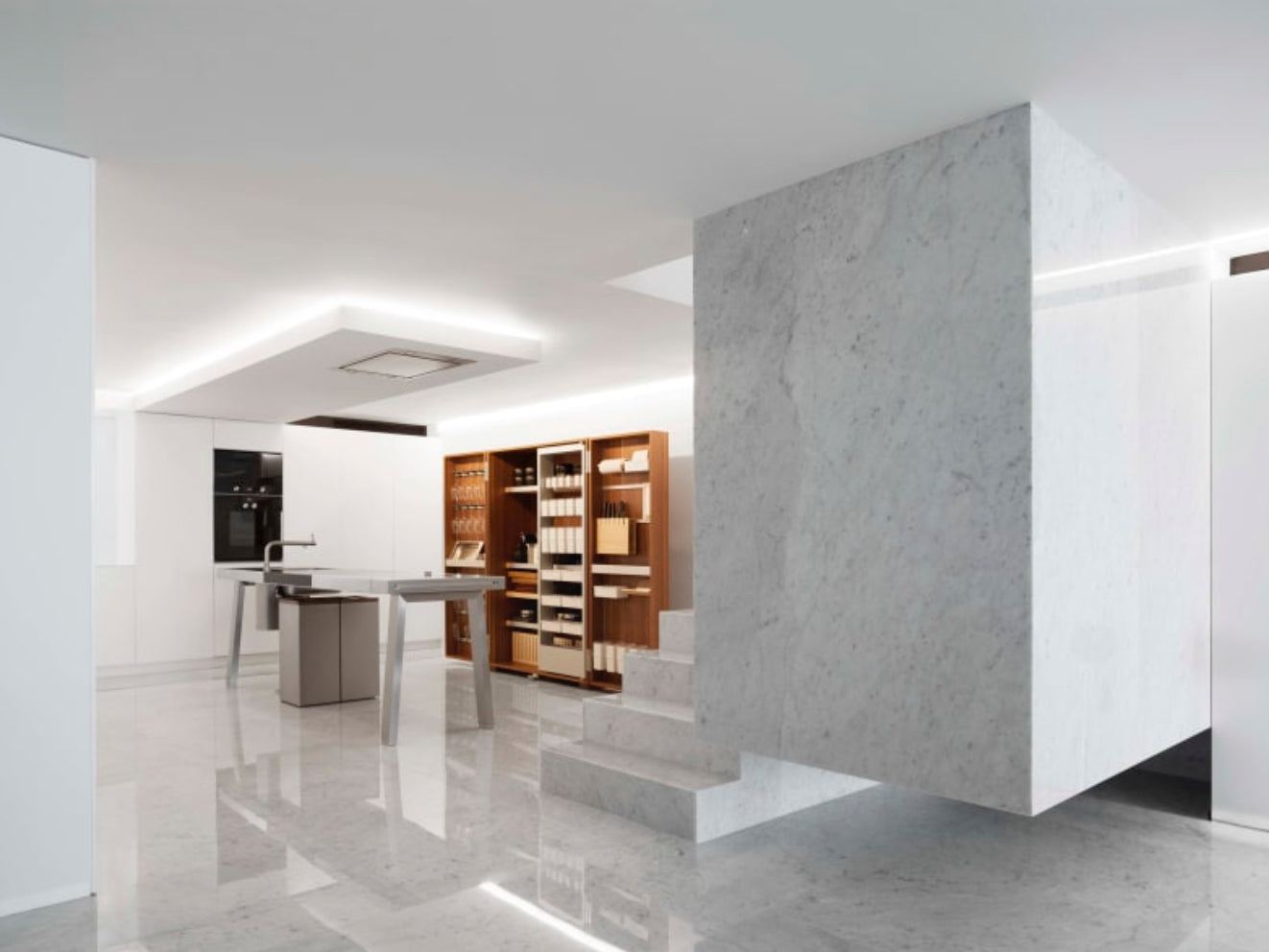 Ivory Fossil Marble
