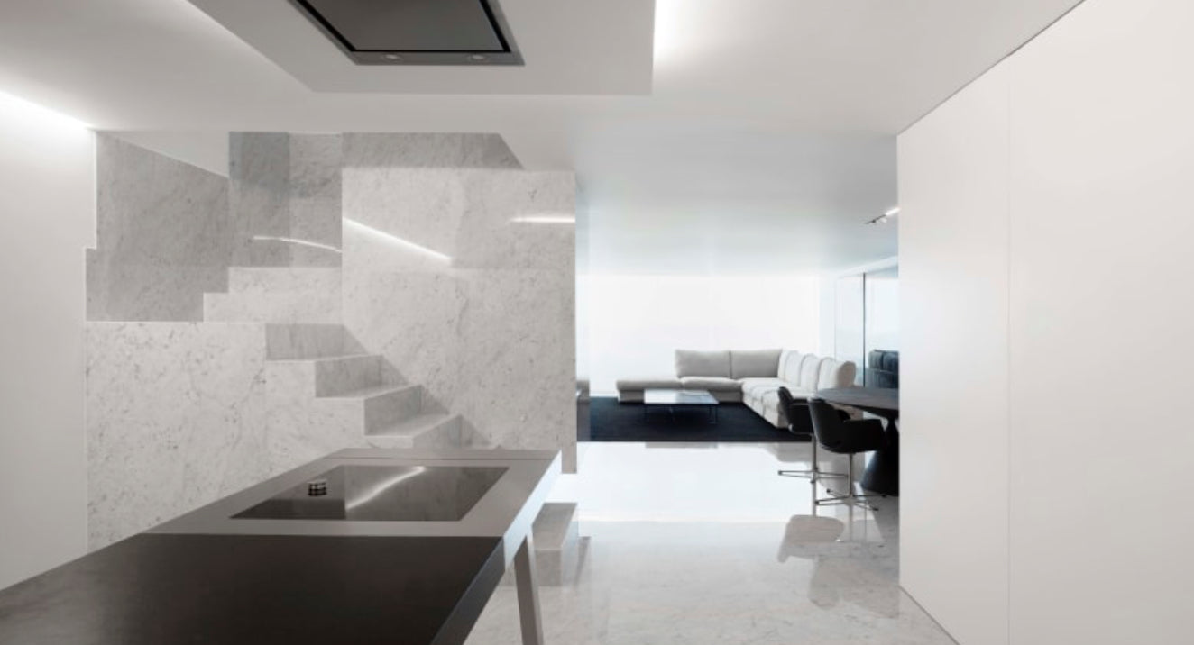 Ivory Fossil Marble