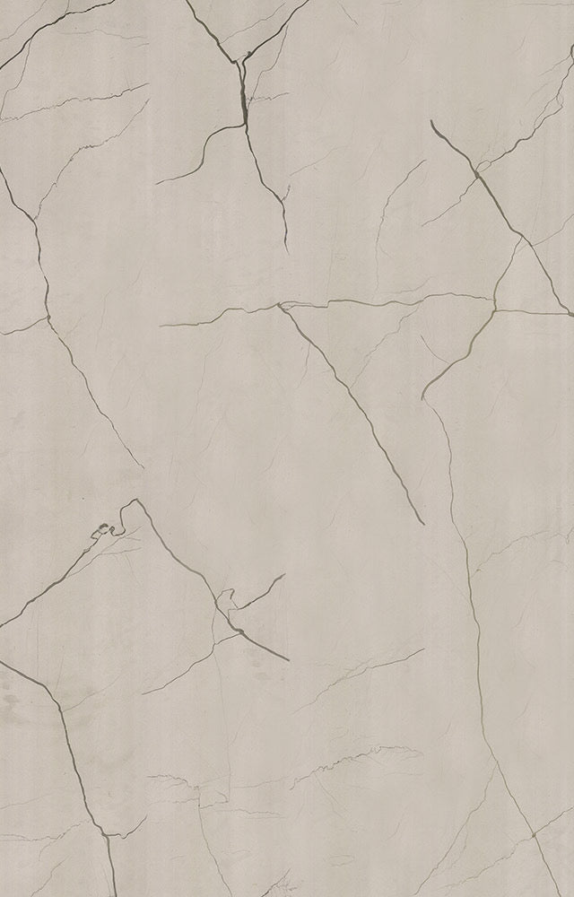 Vein Fragment Beige Marble