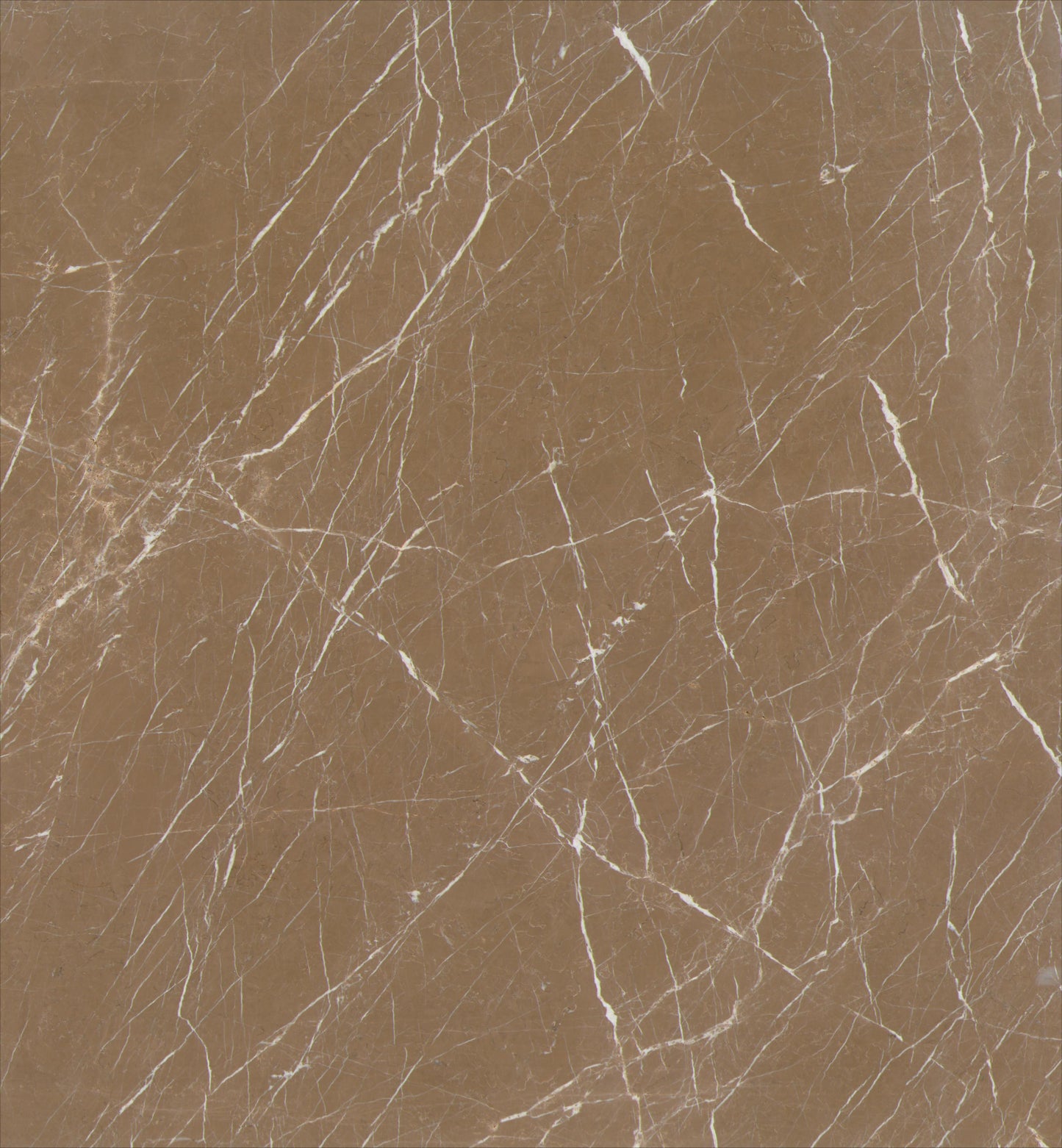 Tawny Web Marble