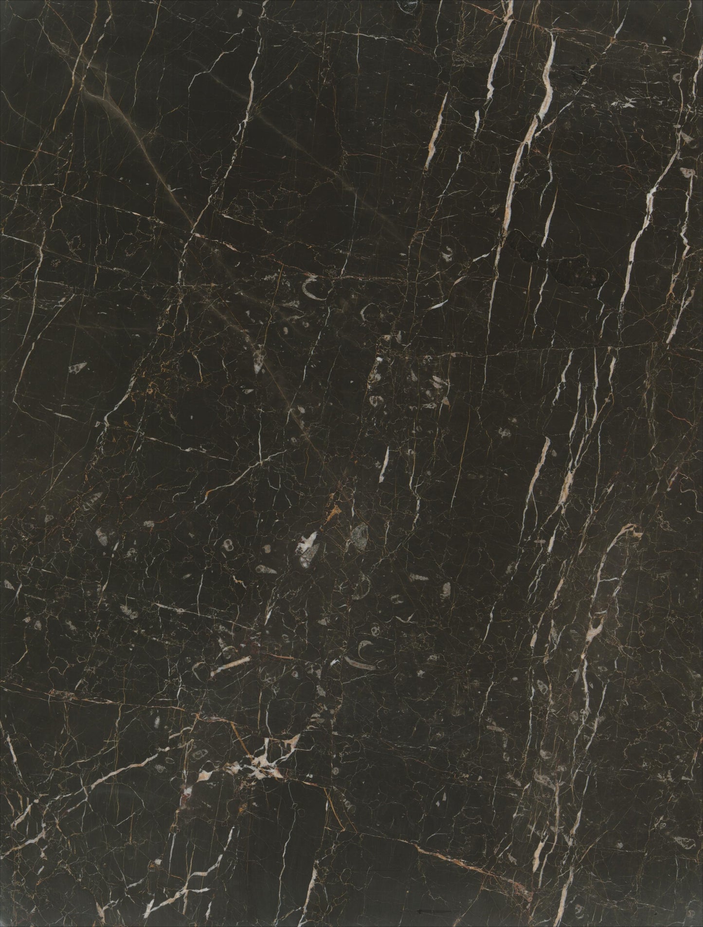 Nocturne Marble