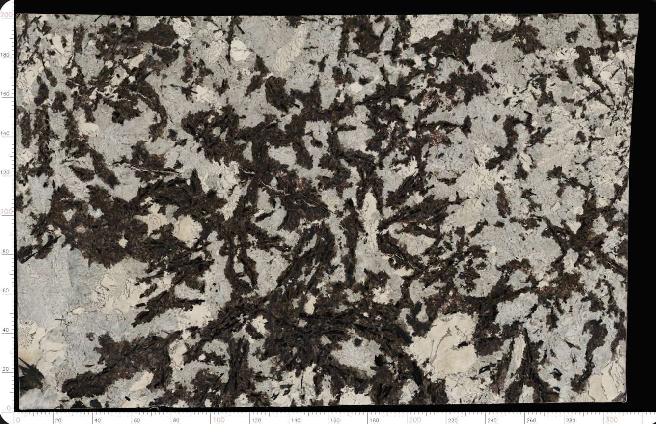 Winter Branch Marble