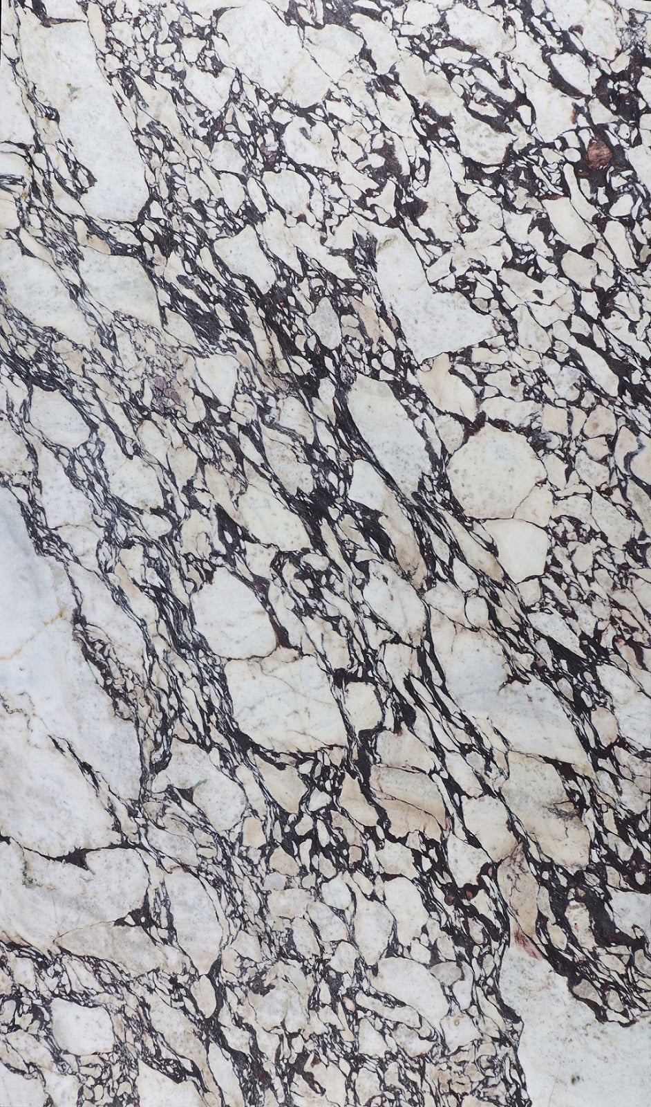 Regency Vein Marble
