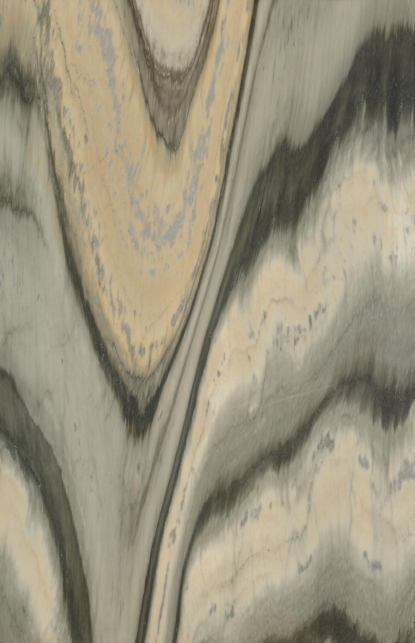 Versailles Crest Marble