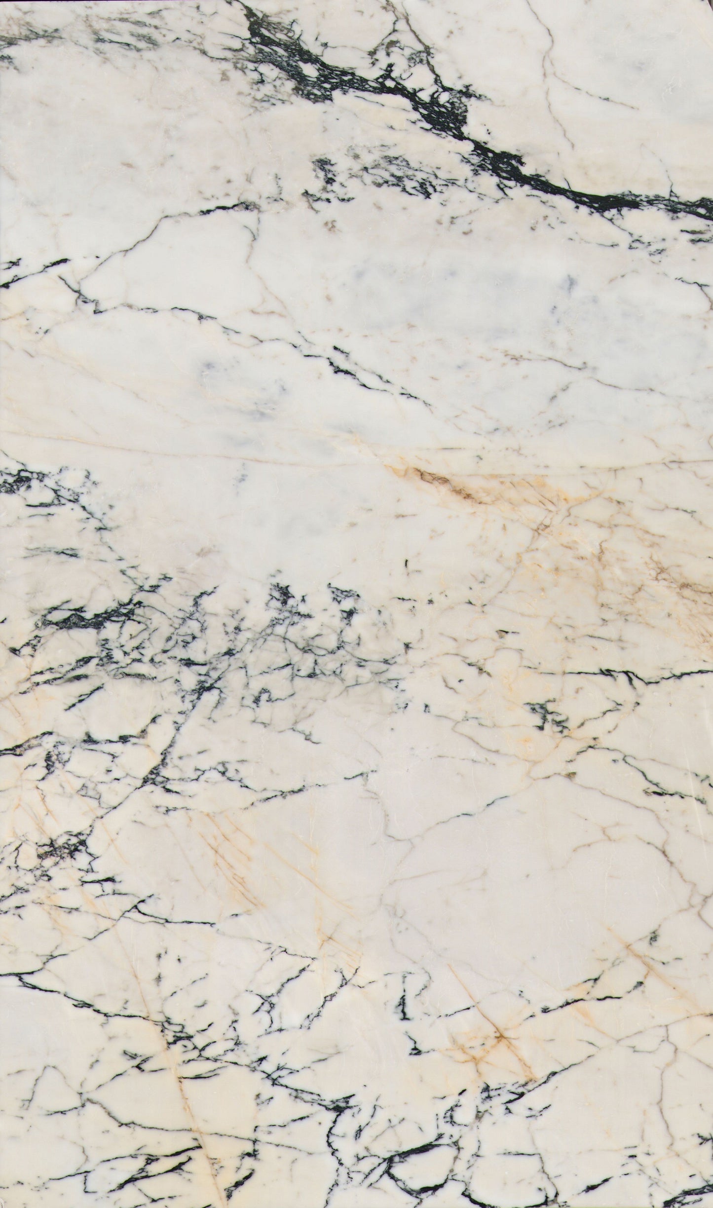 Versailles Vein Marble