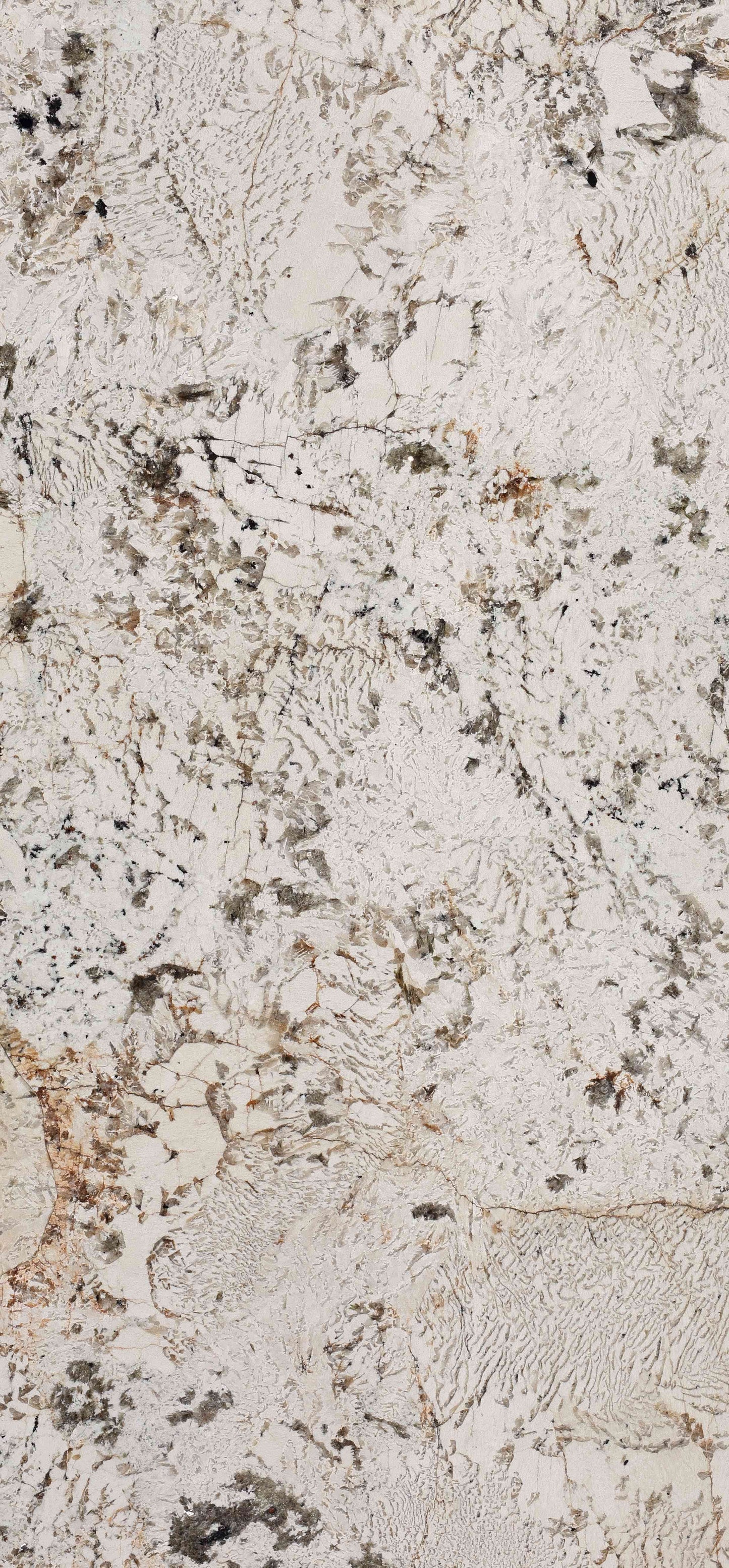 Milan Gold Quartzite
