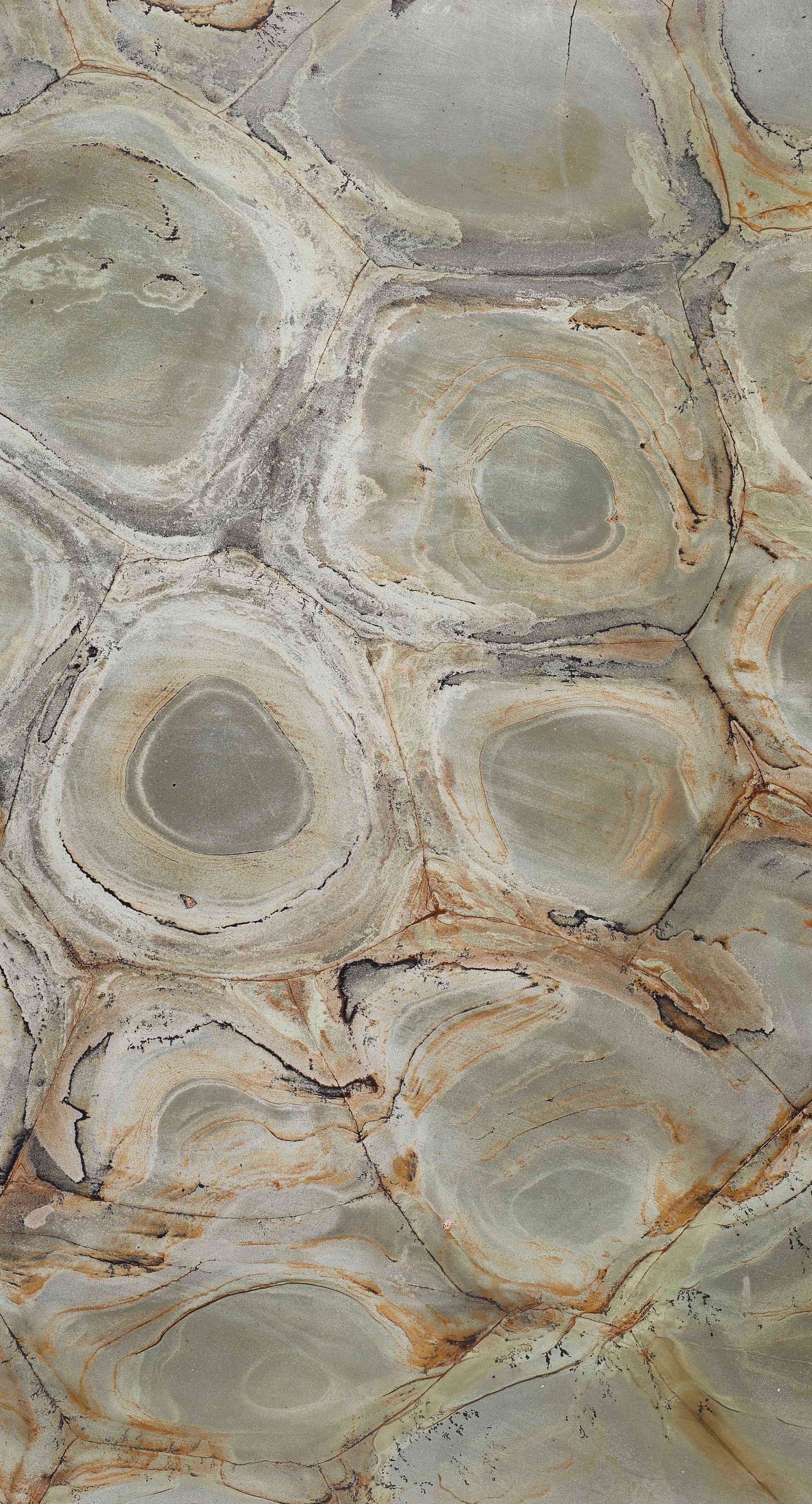 Moss Veil Quartzite