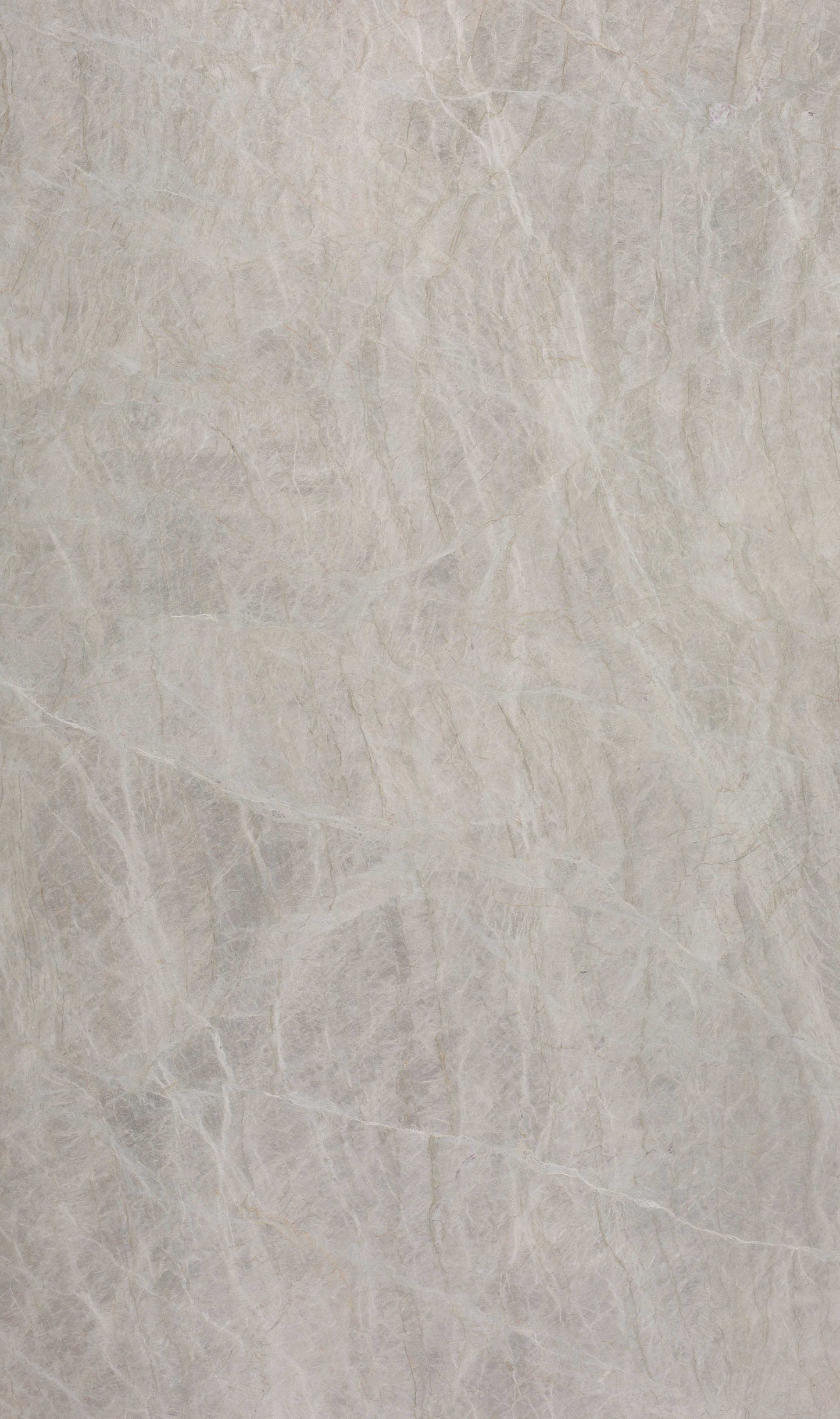 Tranquil Taupe Quartzite