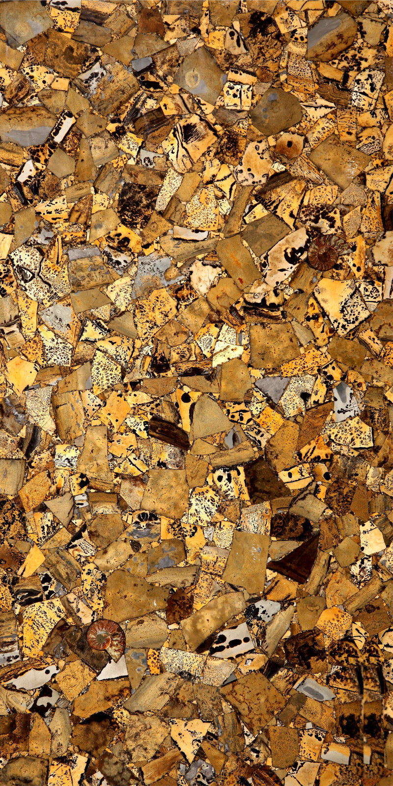 Yellow Fossil Gemstone Slab