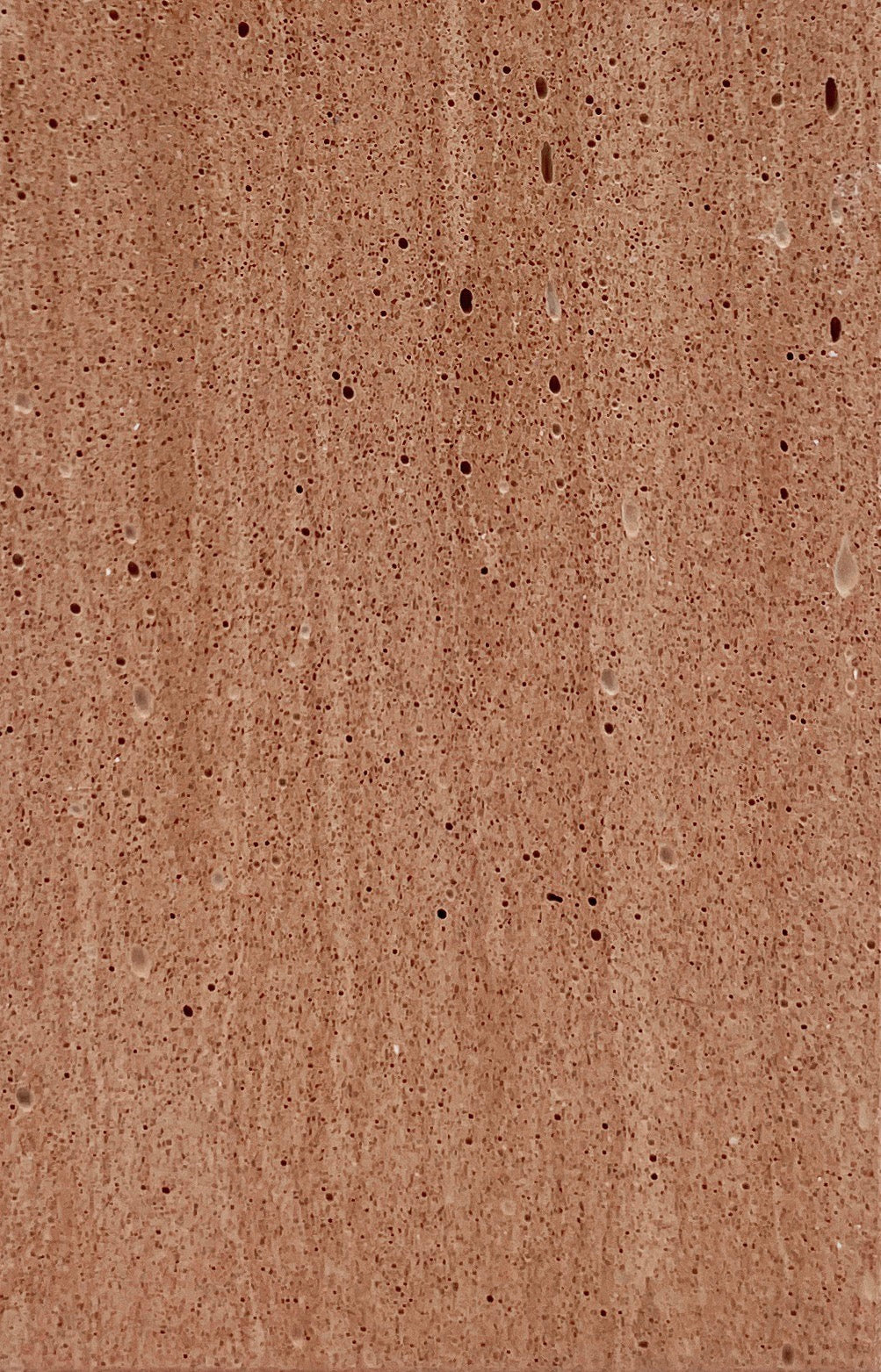 Terracotta Fossil Travertine