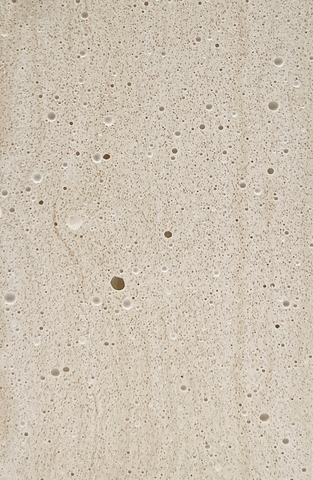 Ivory Strata Fossil Travertine