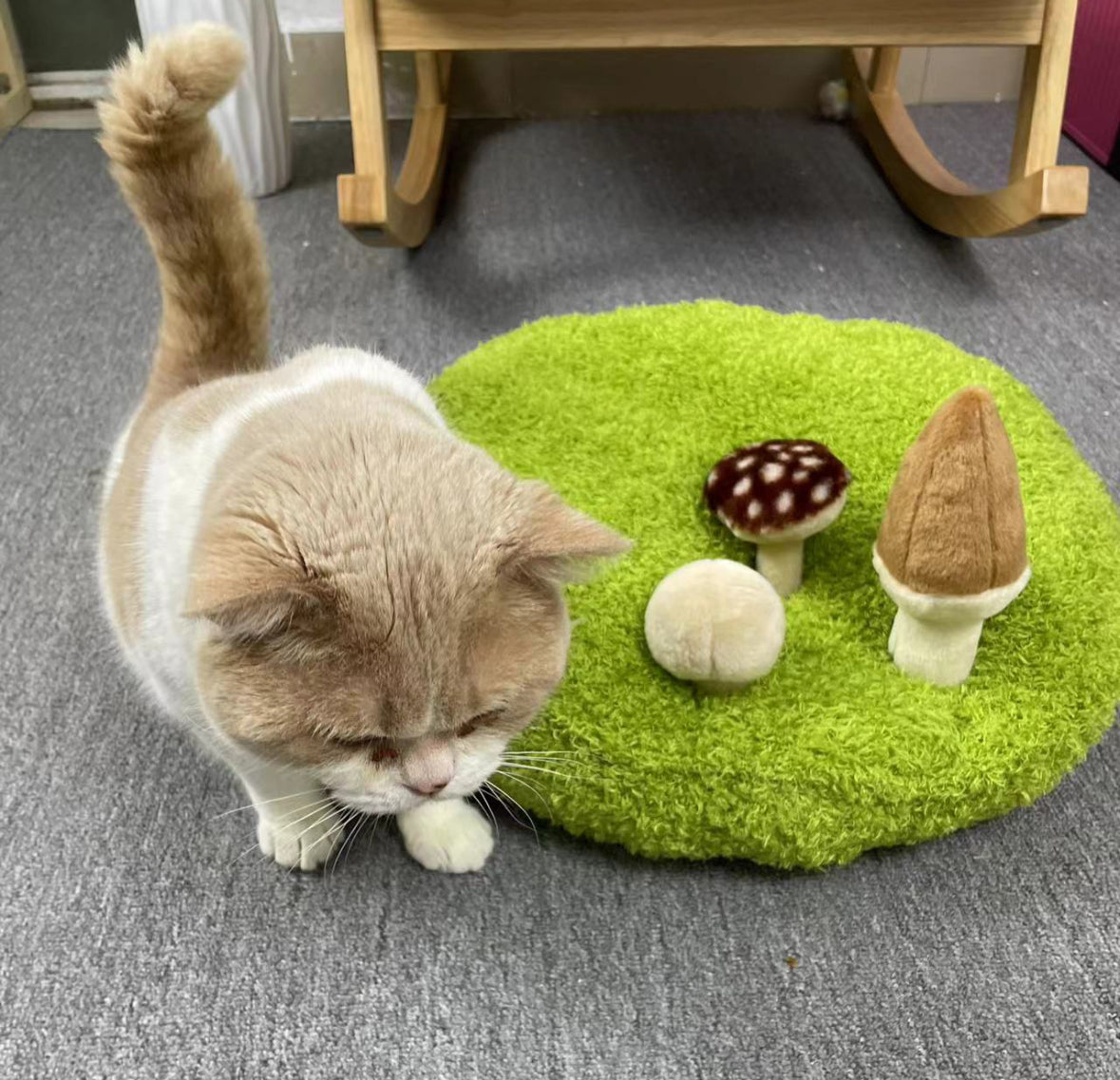 Snuggle Pals Pet Bed
