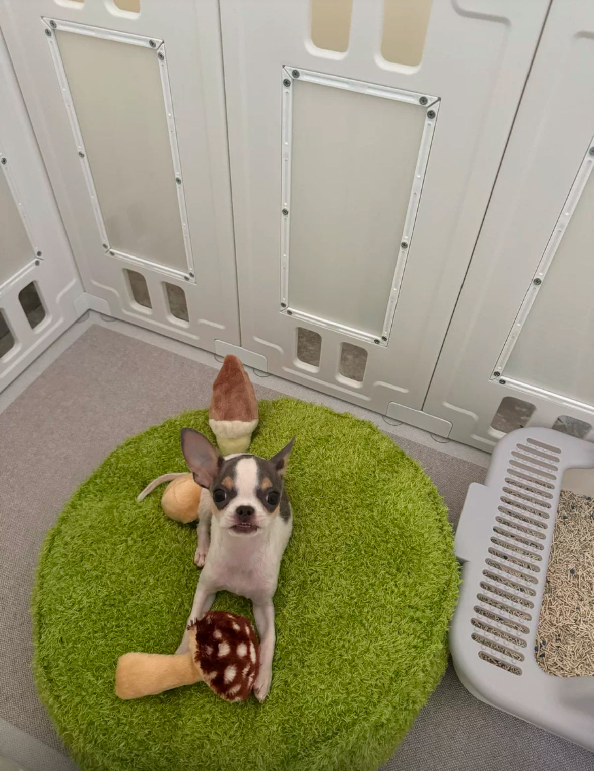 Snuggle Pals Pet Bed