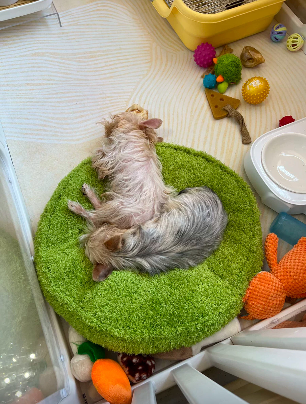 Snuggle Pals Pet Bed