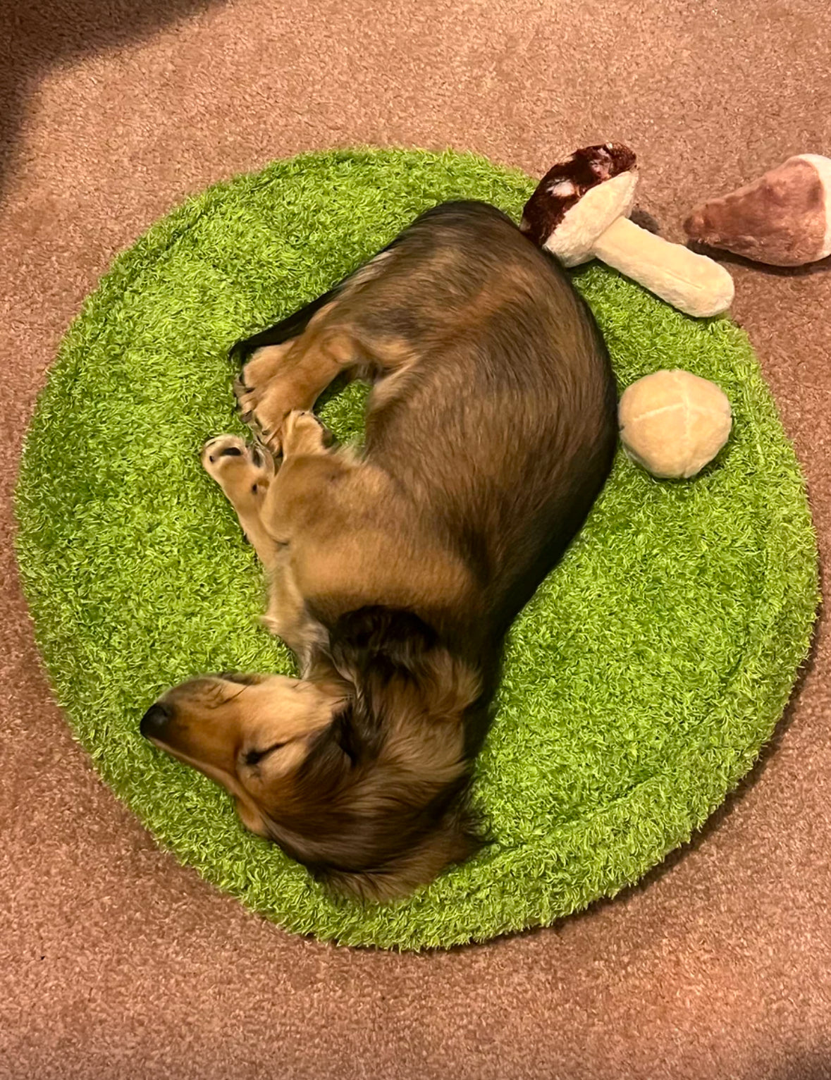 Snuggle Pals Pet Bed