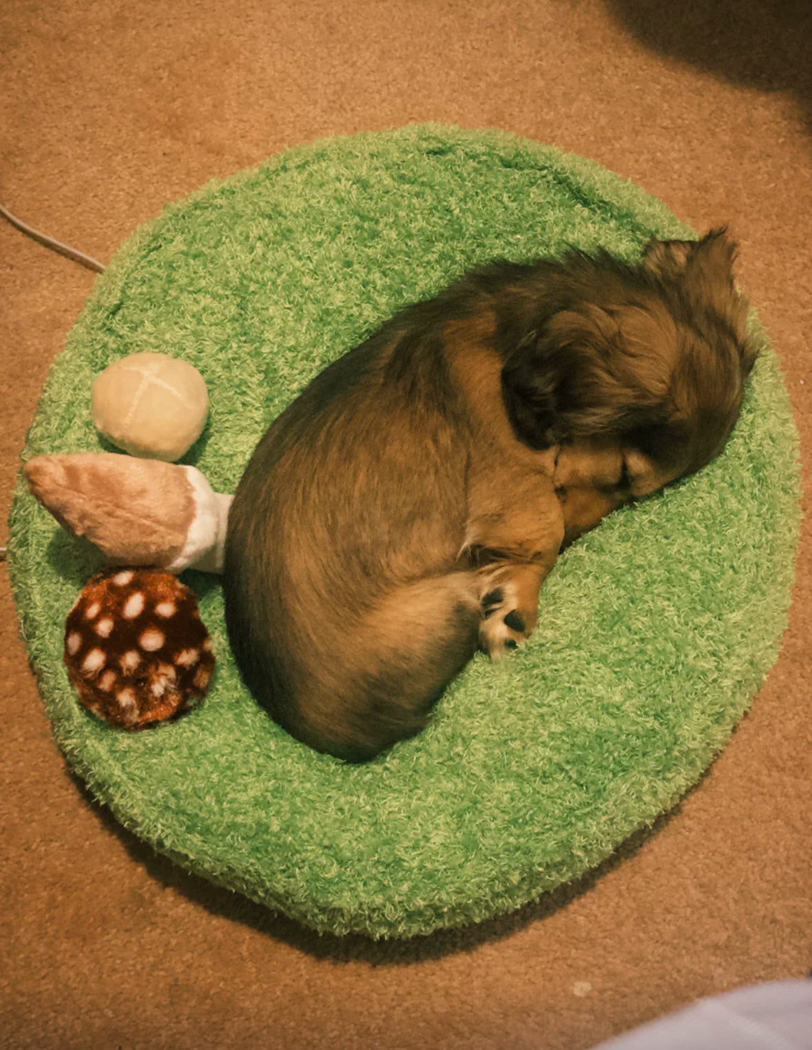 Snuggle Pals Pet Bed