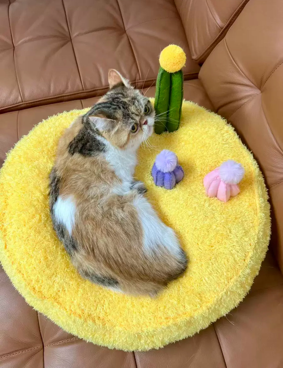 Snuggle Pals Pet Bed