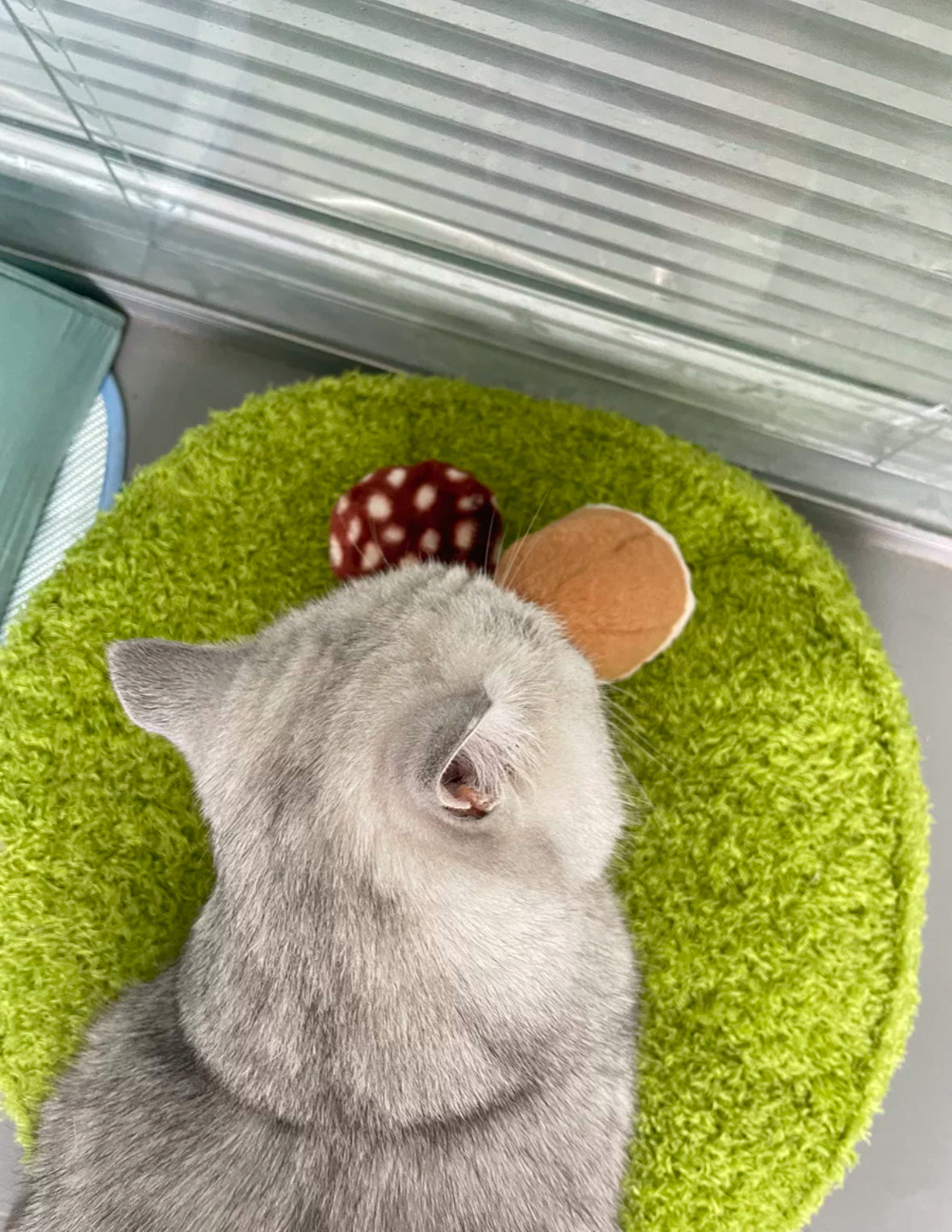 Snuggle Pals Pet Bed