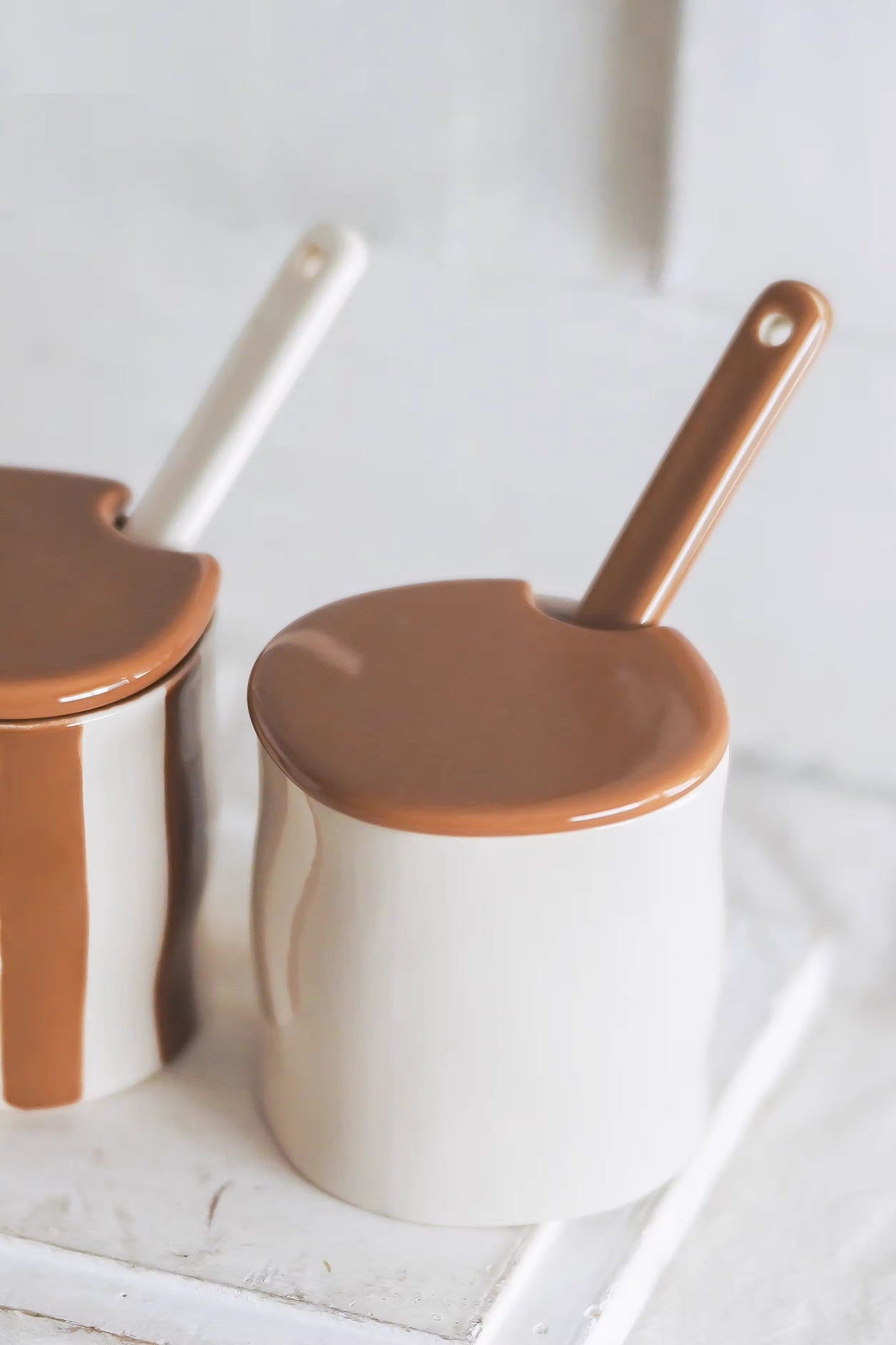 Retro Glaze Ceramic Spice Jar Set