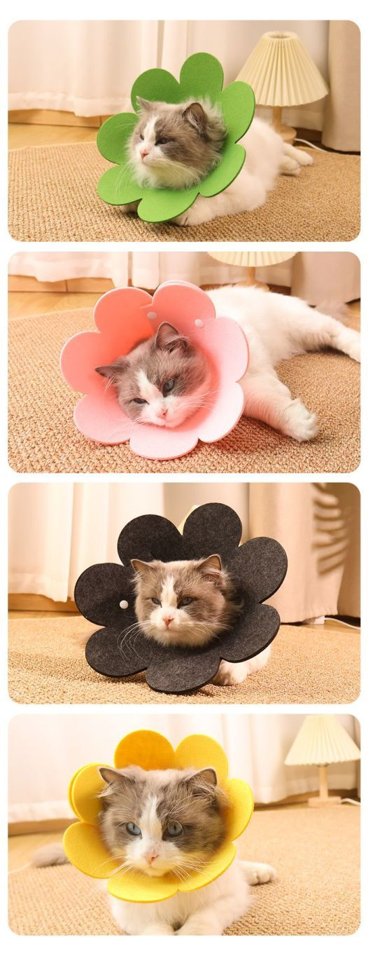 Bloomies Flower-Shaped Recovery Collar