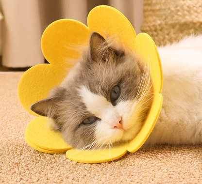 Bloomies Flower-Shaped Recovery Collar