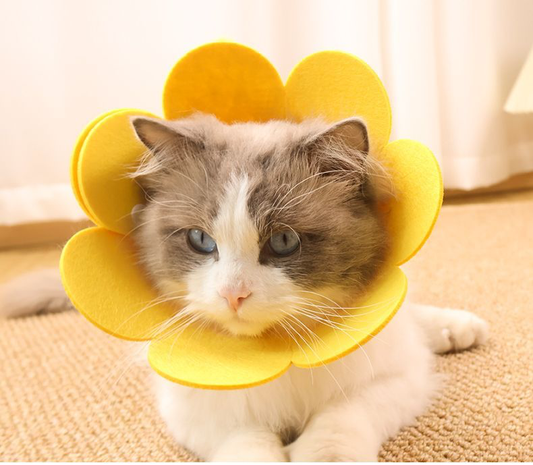 Bloomies Flower-Shaped Recovery Collar