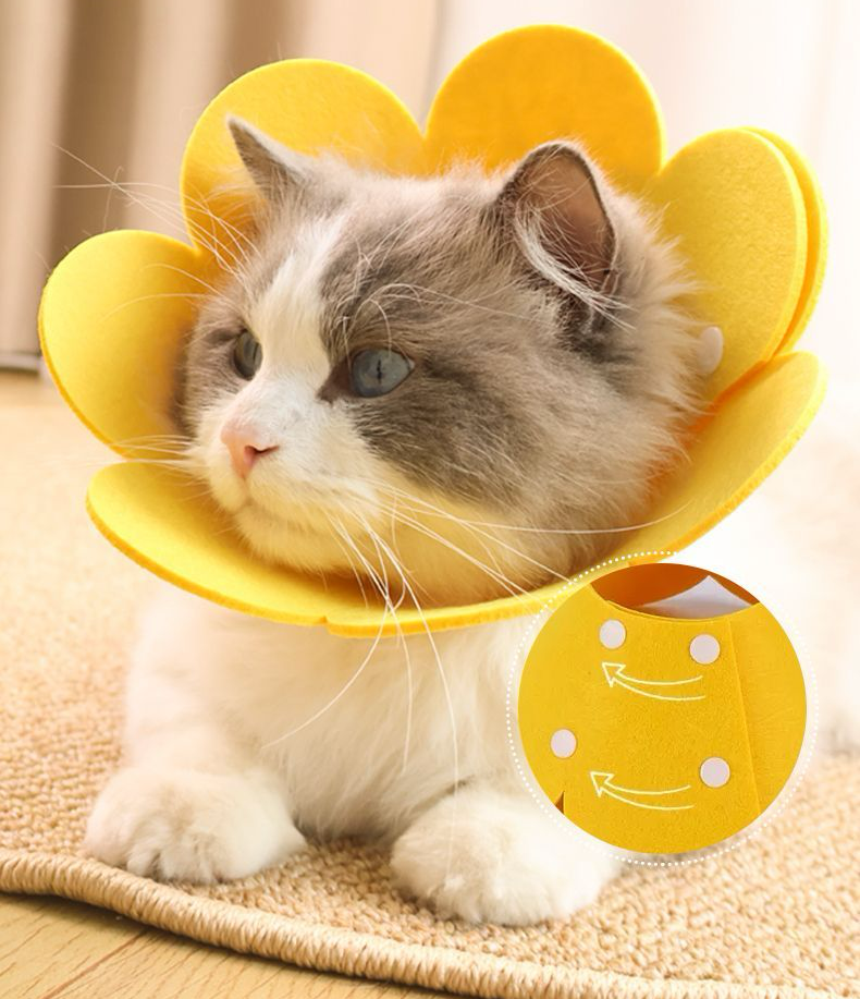 Bloomies Flower-Shaped Recovery Collar