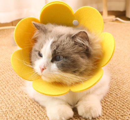 Bloomies Flower-Shaped Recovery Collar